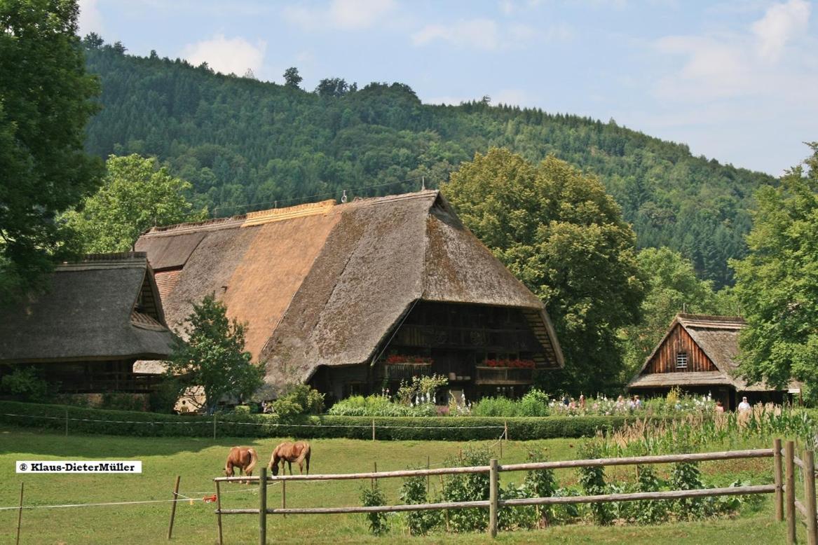 Haus Am Waldrand Villa Triberg im Schwarzwald Kültér fotó