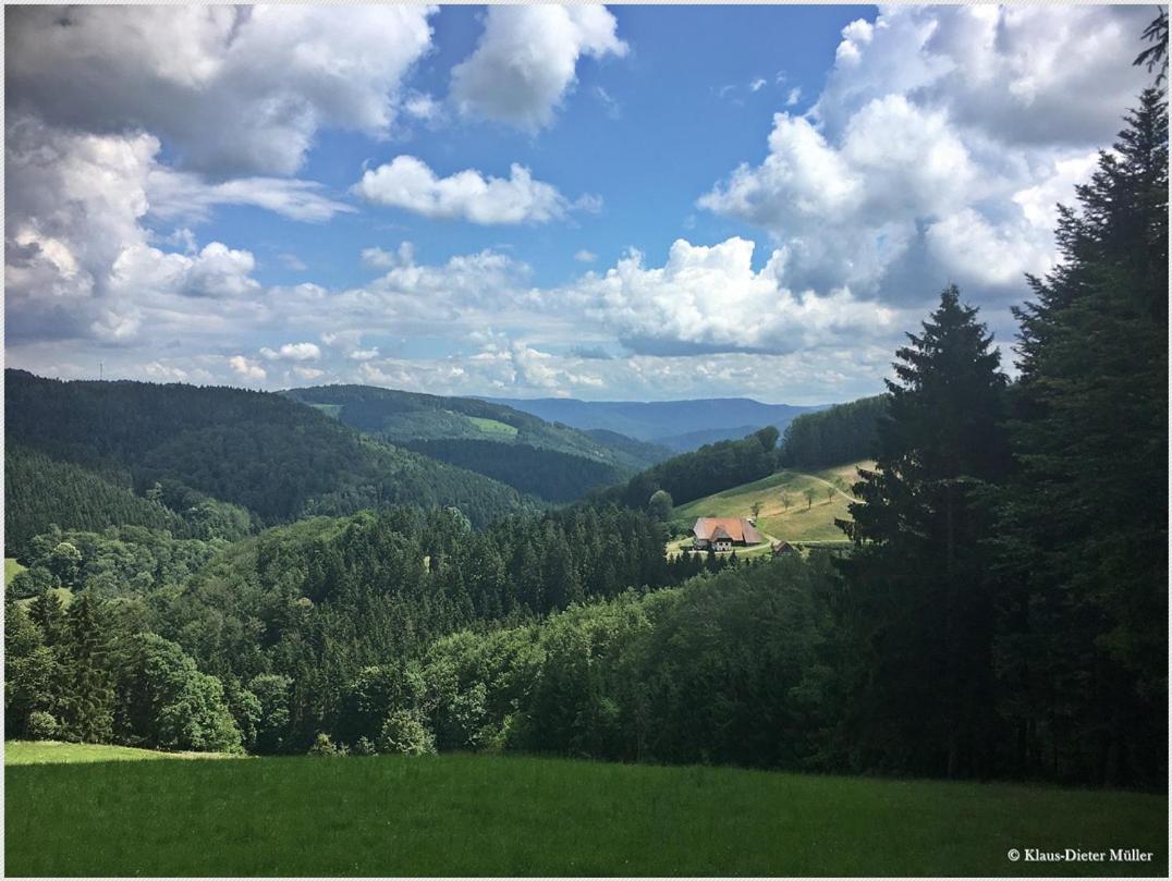 Haus Am Waldrand Villa Triberg im Schwarzwald Kültér fotó
