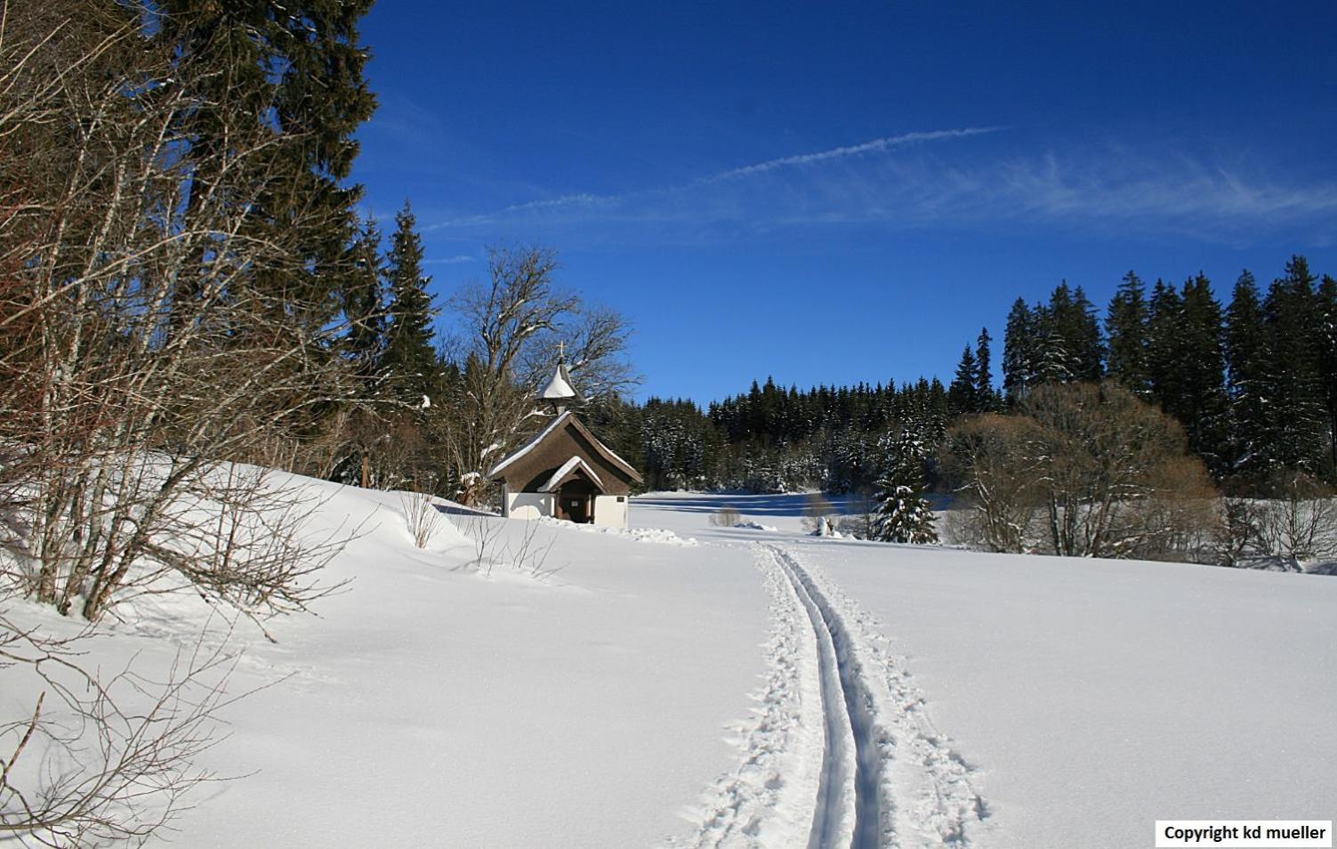 Haus Am Waldrand Villa Triberg im Schwarzwald Kültér fotó