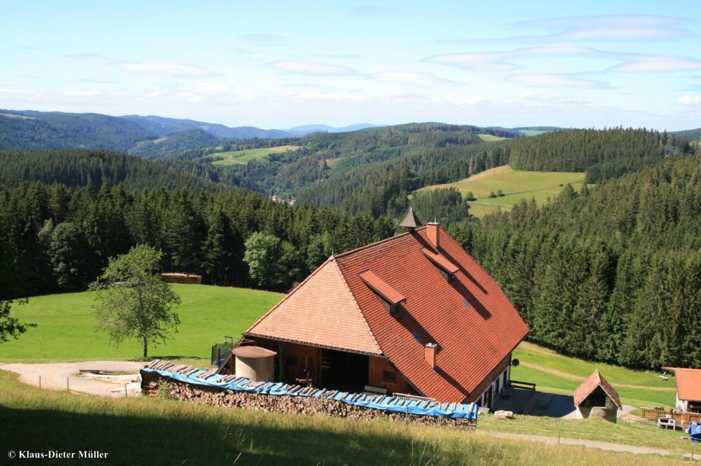 Haus Am Waldrand Villa Triberg im Schwarzwald Kültér fotó