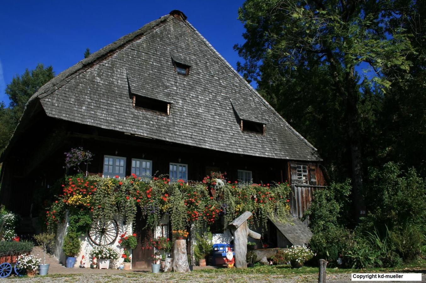 Haus Am Waldrand Villa Triberg im Schwarzwald Kültér fotó