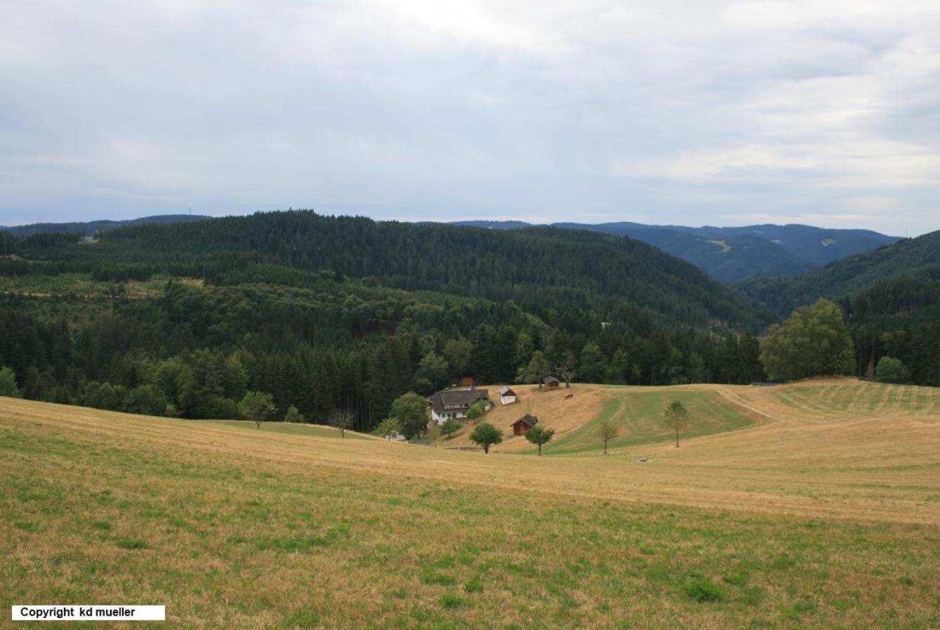 Haus Am Waldrand Villa Triberg im Schwarzwald Kültér fotó
