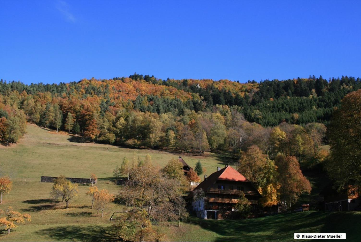 Haus Am Waldrand Villa Triberg im Schwarzwald Kültér fotó