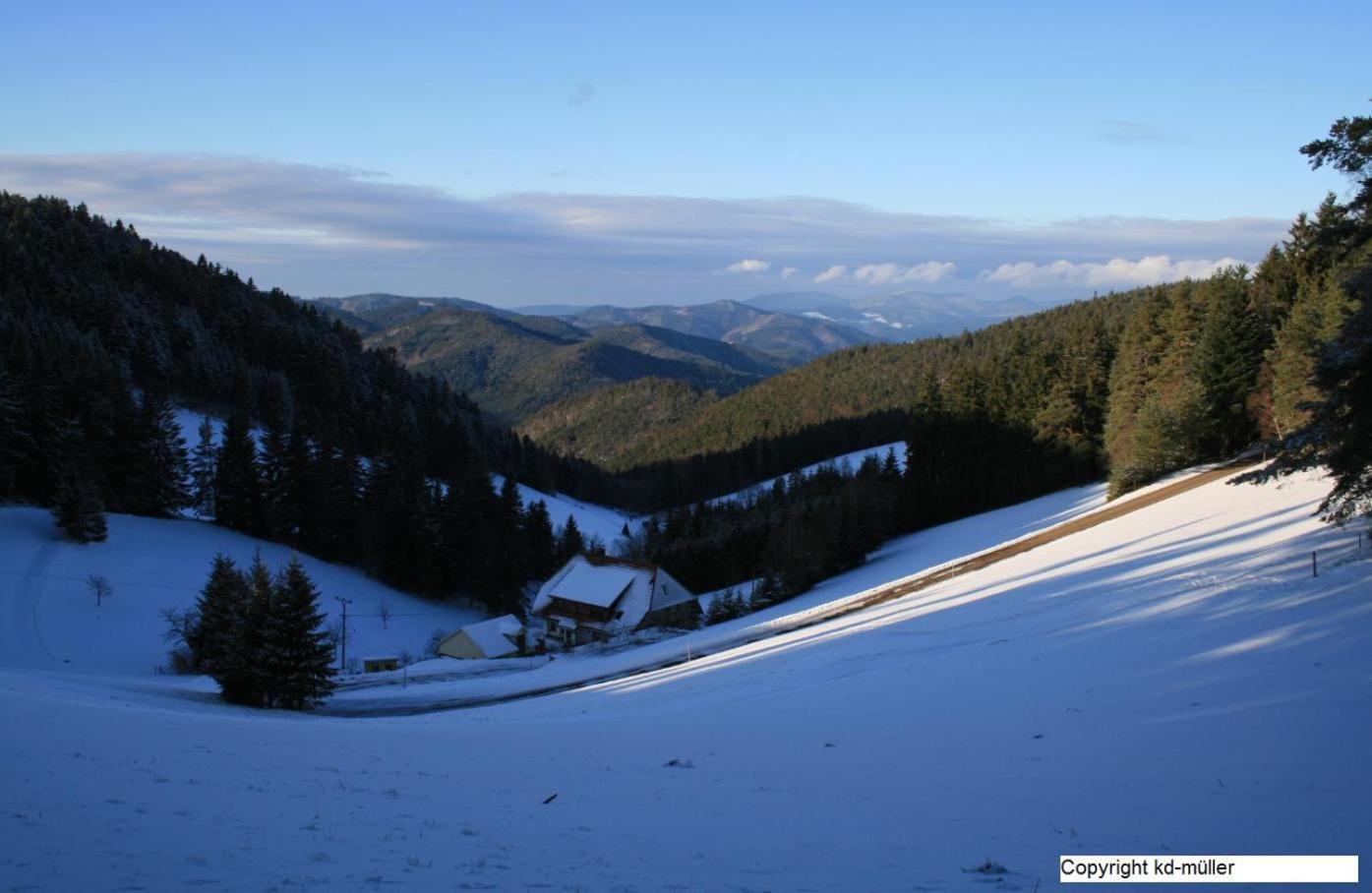 Haus Am Waldrand Villa Triberg im Schwarzwald Kültér fotó
