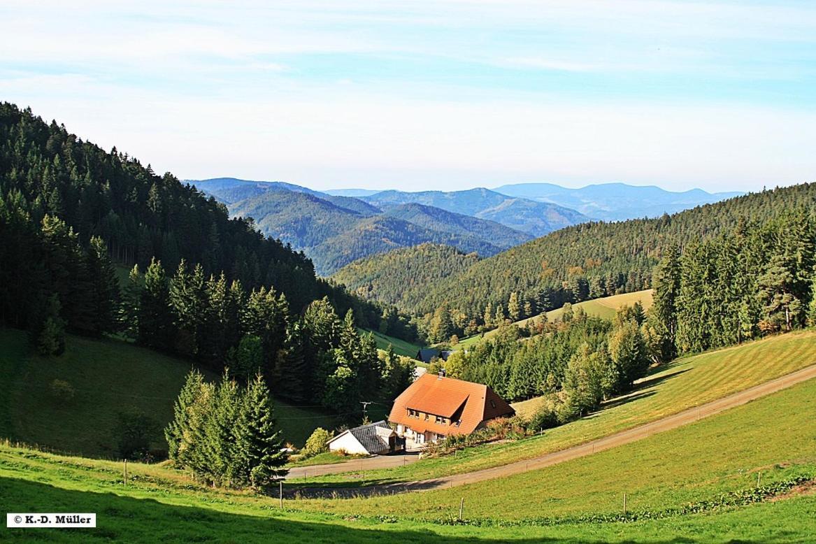 Haus Am Waldrand Villa Triberg im Schwarzwald Kültér fotó