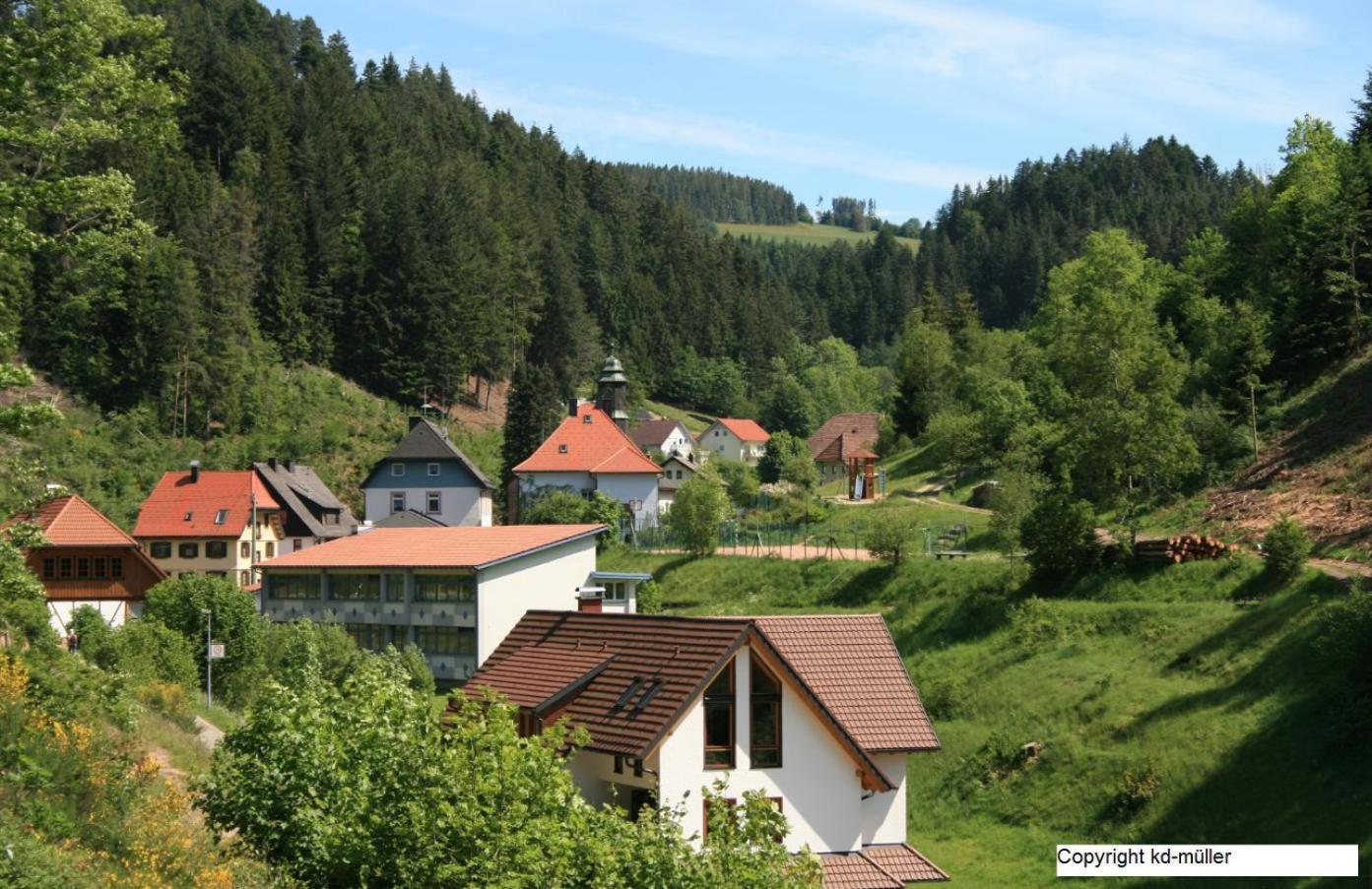 Haus Am Waldrand Villa Triberg im Schwarzwald Kültér fotó
