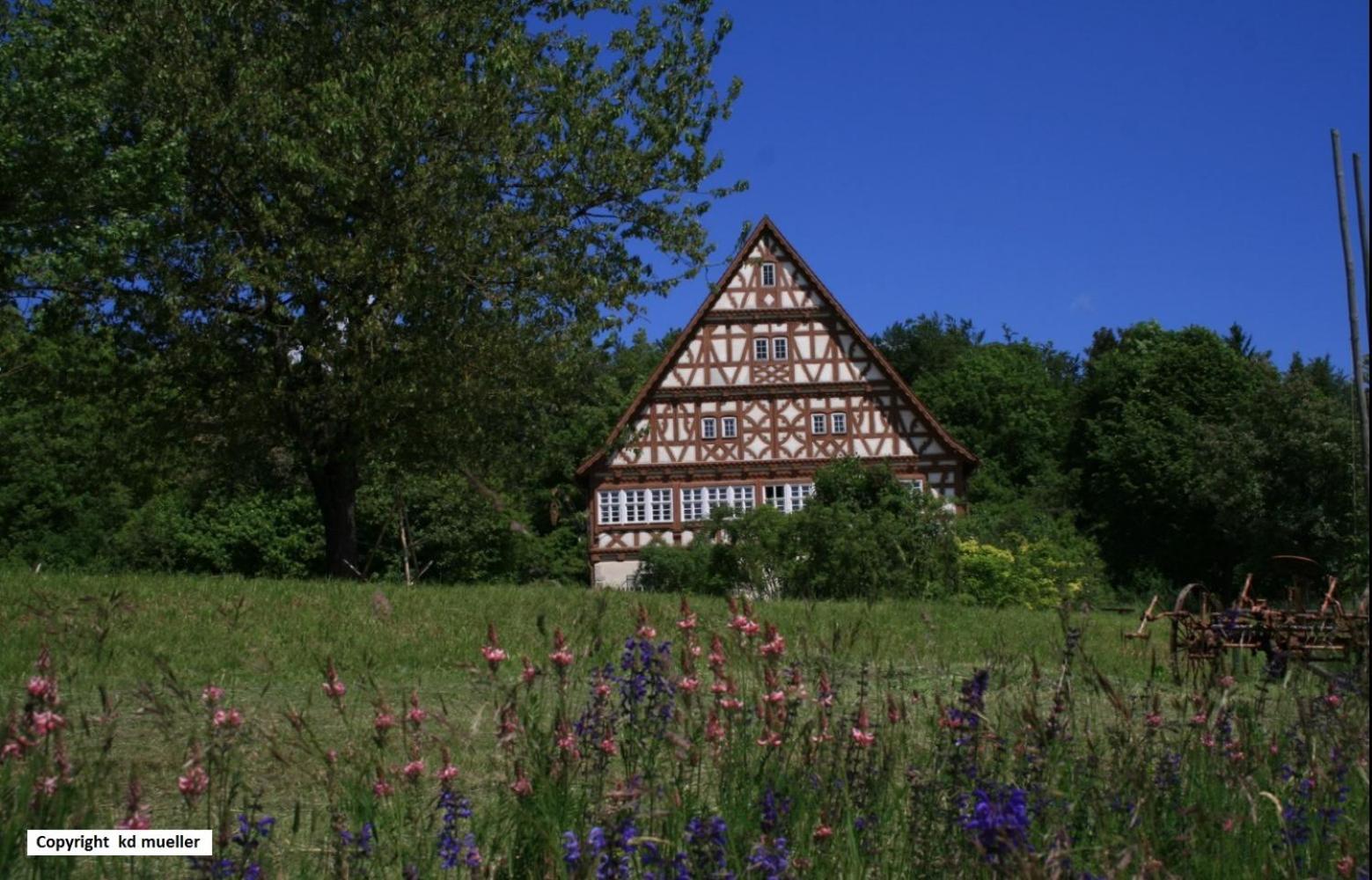 Haus Am Waldrand Villa Triberg im Schwarzwald Kültér fotó