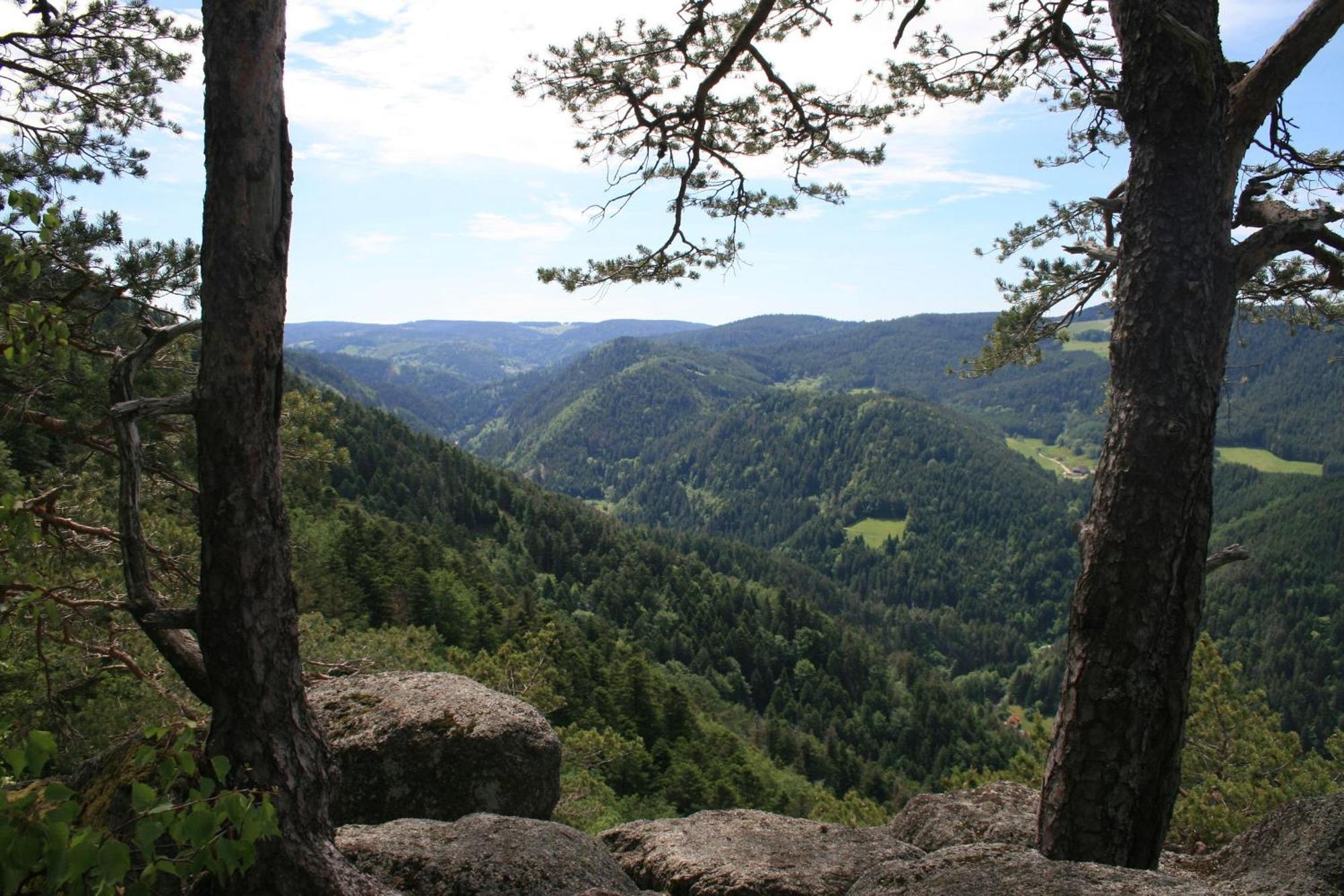 Haus Am Waldrand Villa Triberg im Schwarzwald Kültér fotó