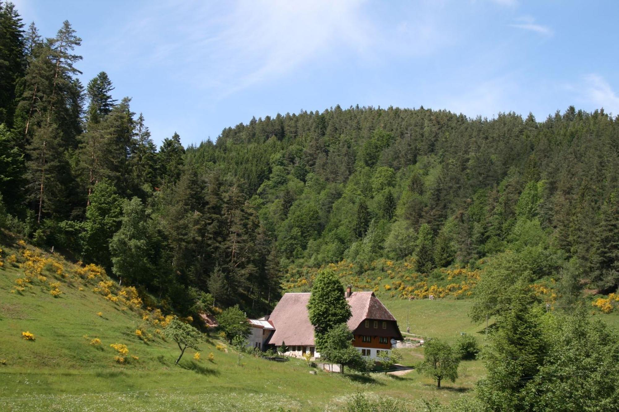 Haus Am Waldrand Villa Triberg im Schwarzwald Kültér fotó