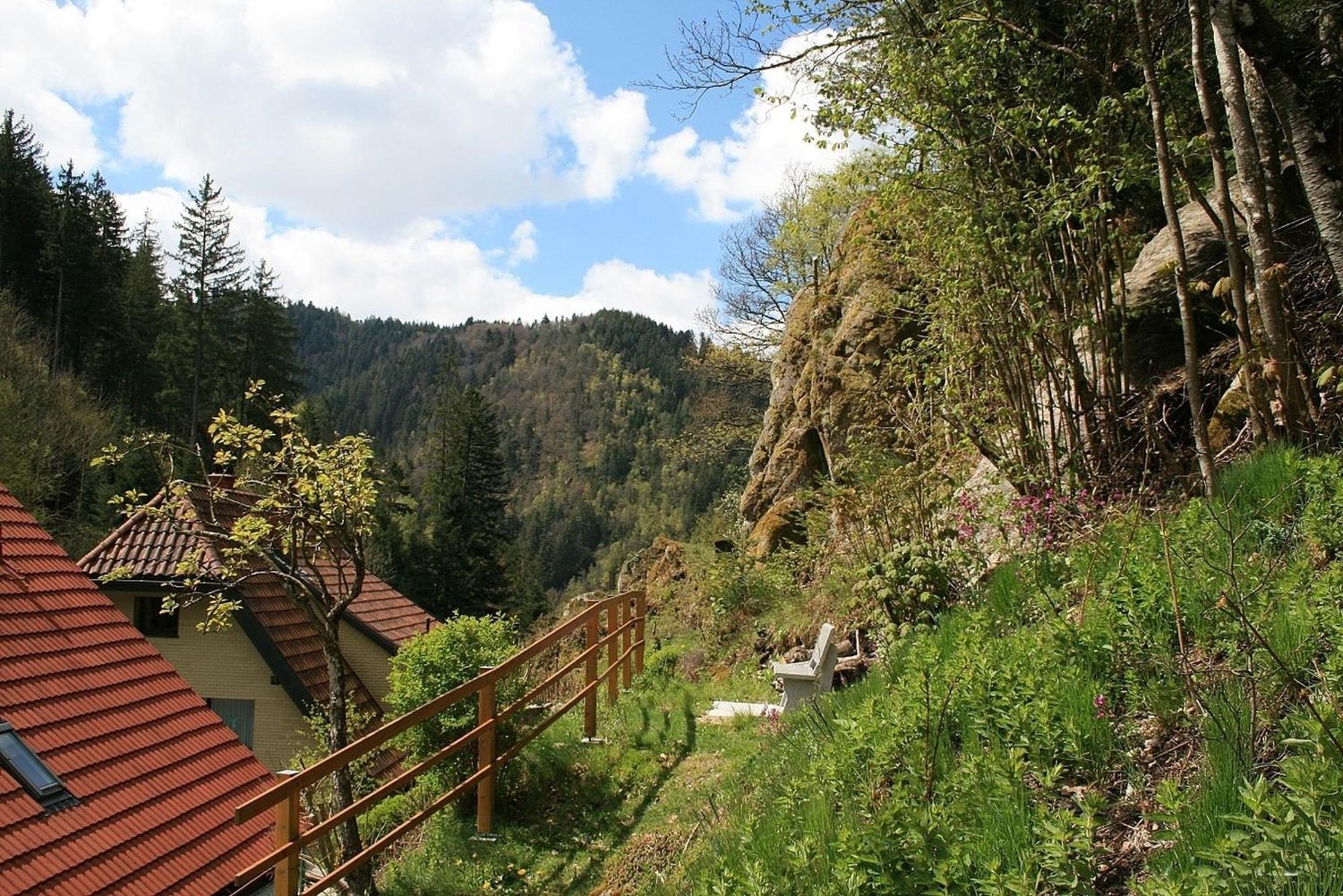 Haus Am Waldrand Villa Triberg im Schwarzwald Kültér fotó